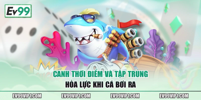 Canh thời điểm và tập trung hỏa lực khi cá bơi ra